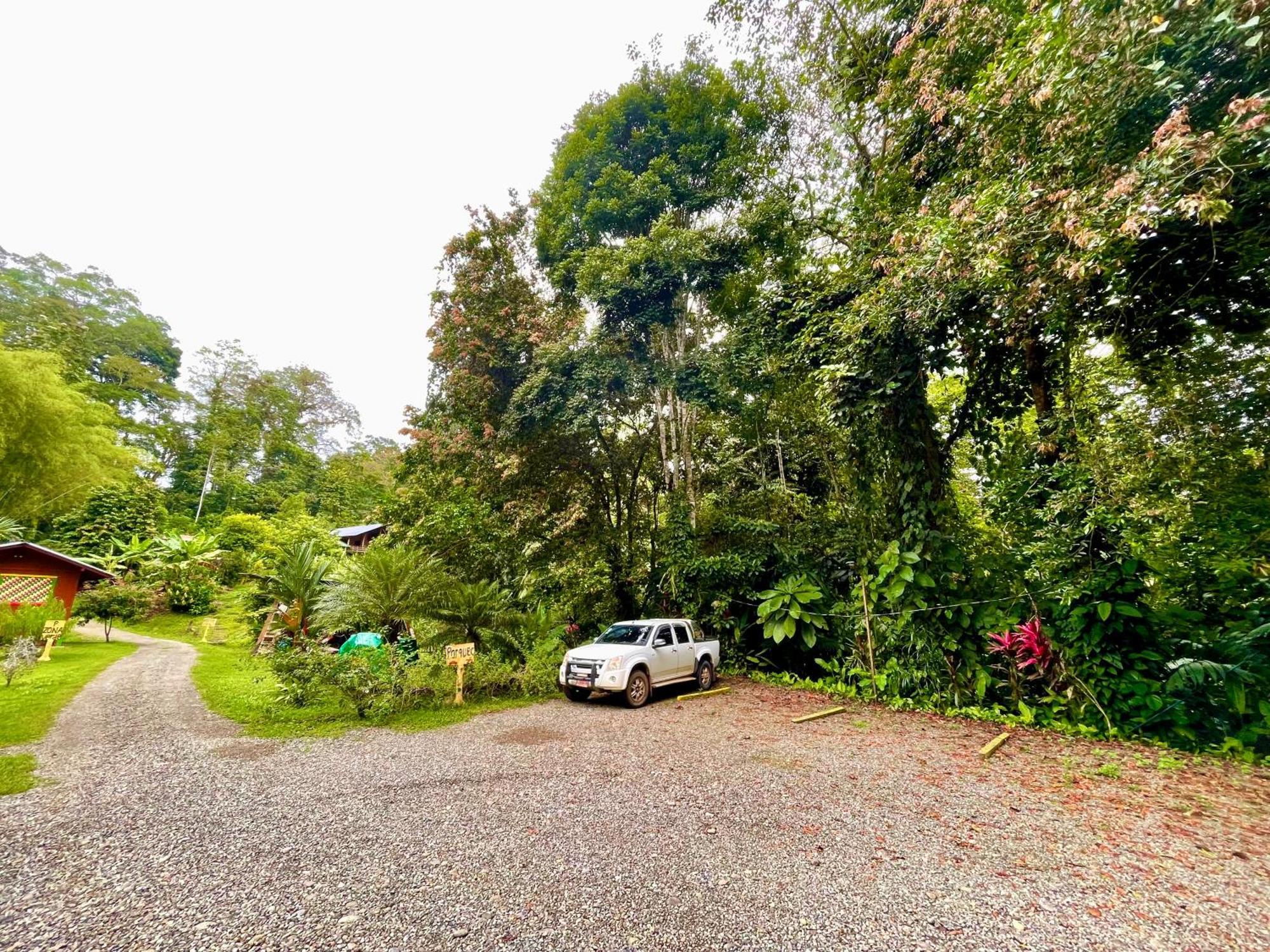 Alouatta Lodge And Canopy Cahuita Exterior photo