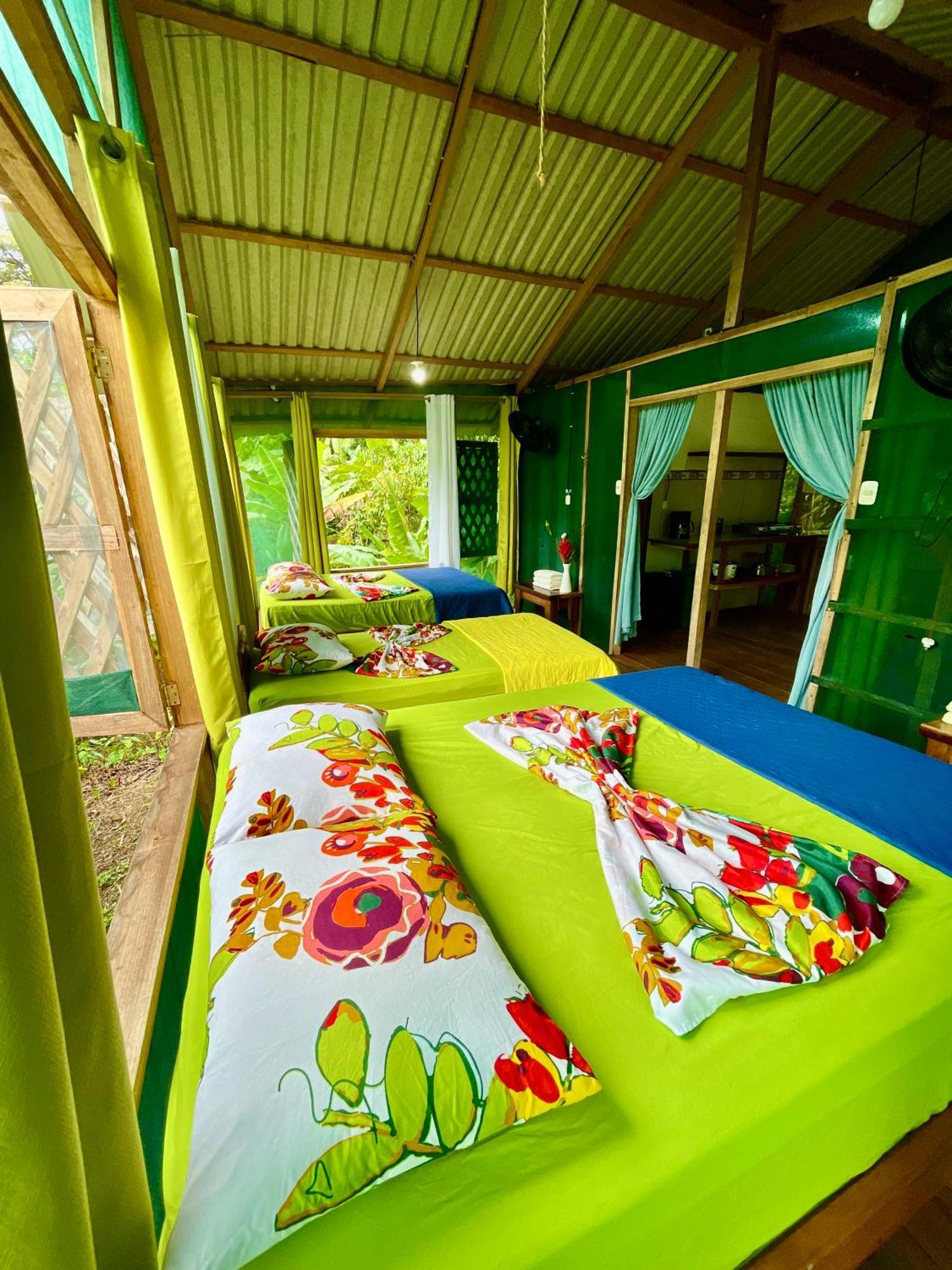 Alouatta Lodge And Canopy Cahuita Exterior photo