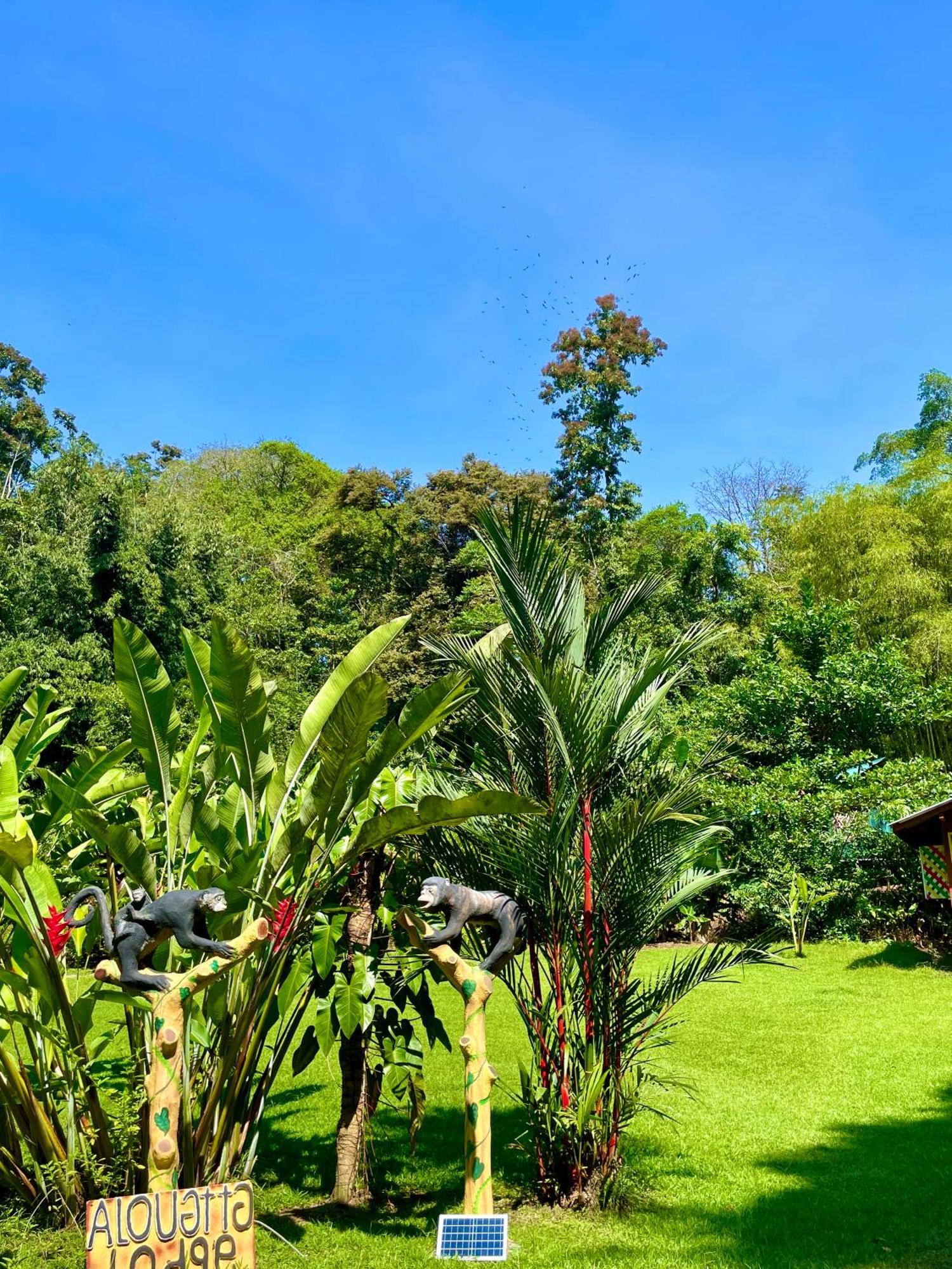 Alouatta Lodge And Canopy Cahuita Exterior photo