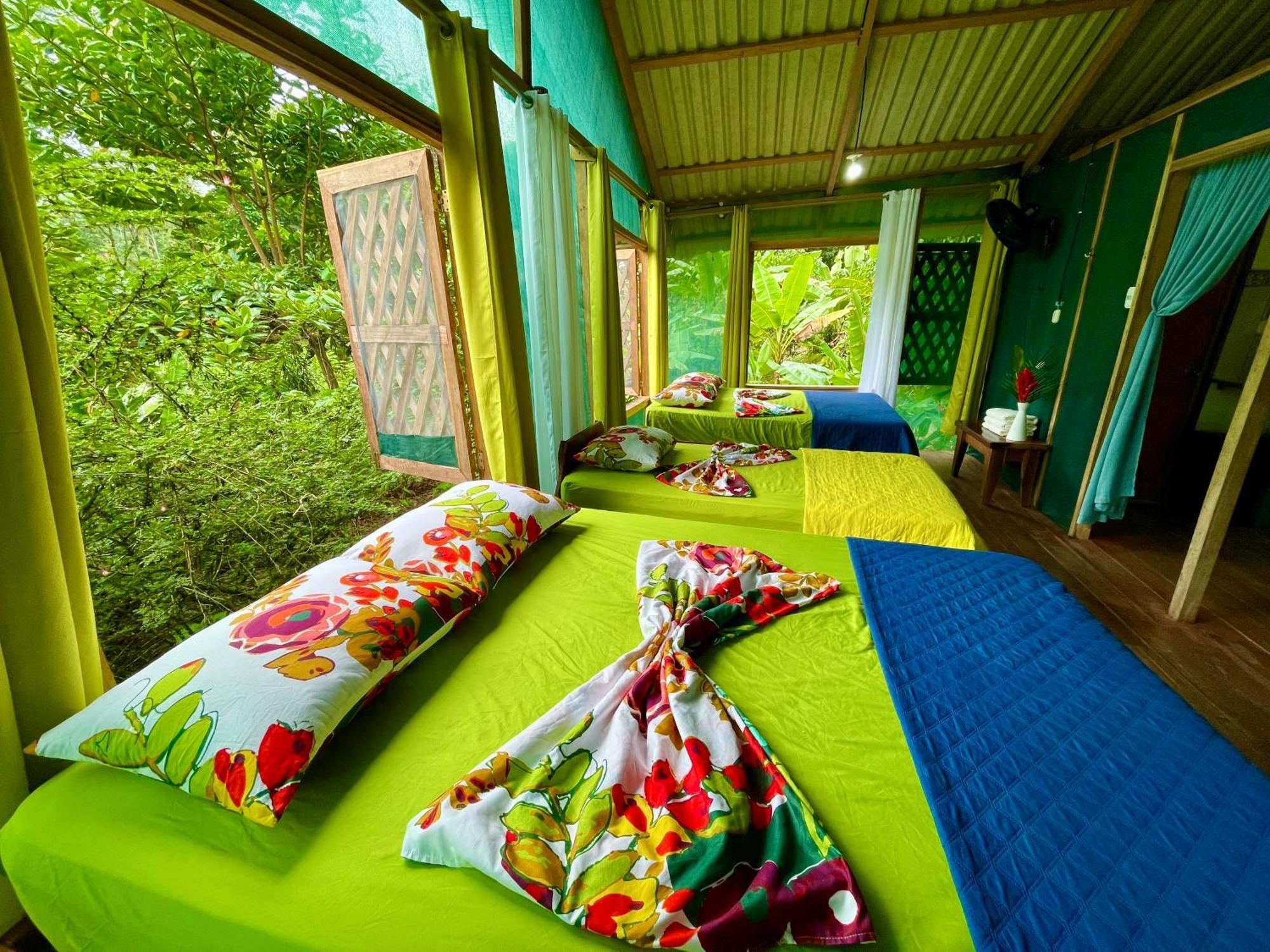 Alouatta Lodge And Canopy Cahuita Exterior photo