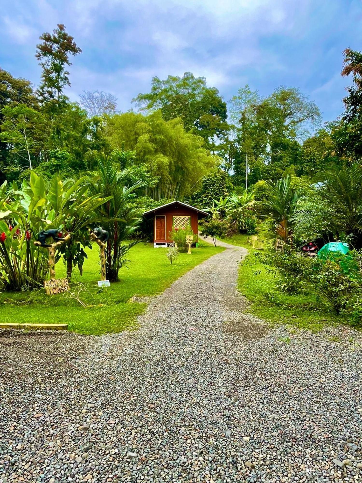 Alouatta Lodge And Canopy Cahuita Exterior photo