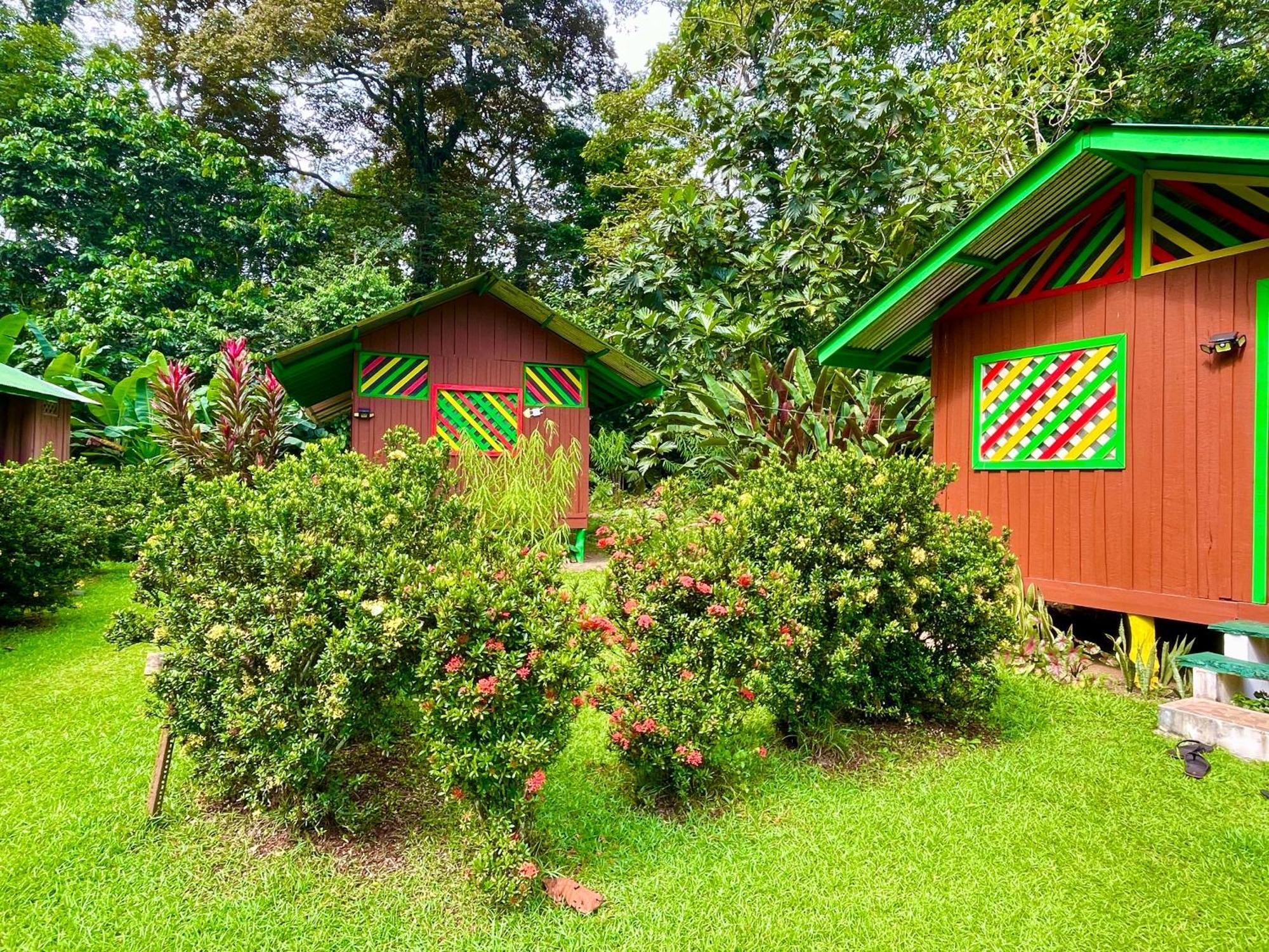 Alouatta Lodge And Canopy Cahuita Exterior photo