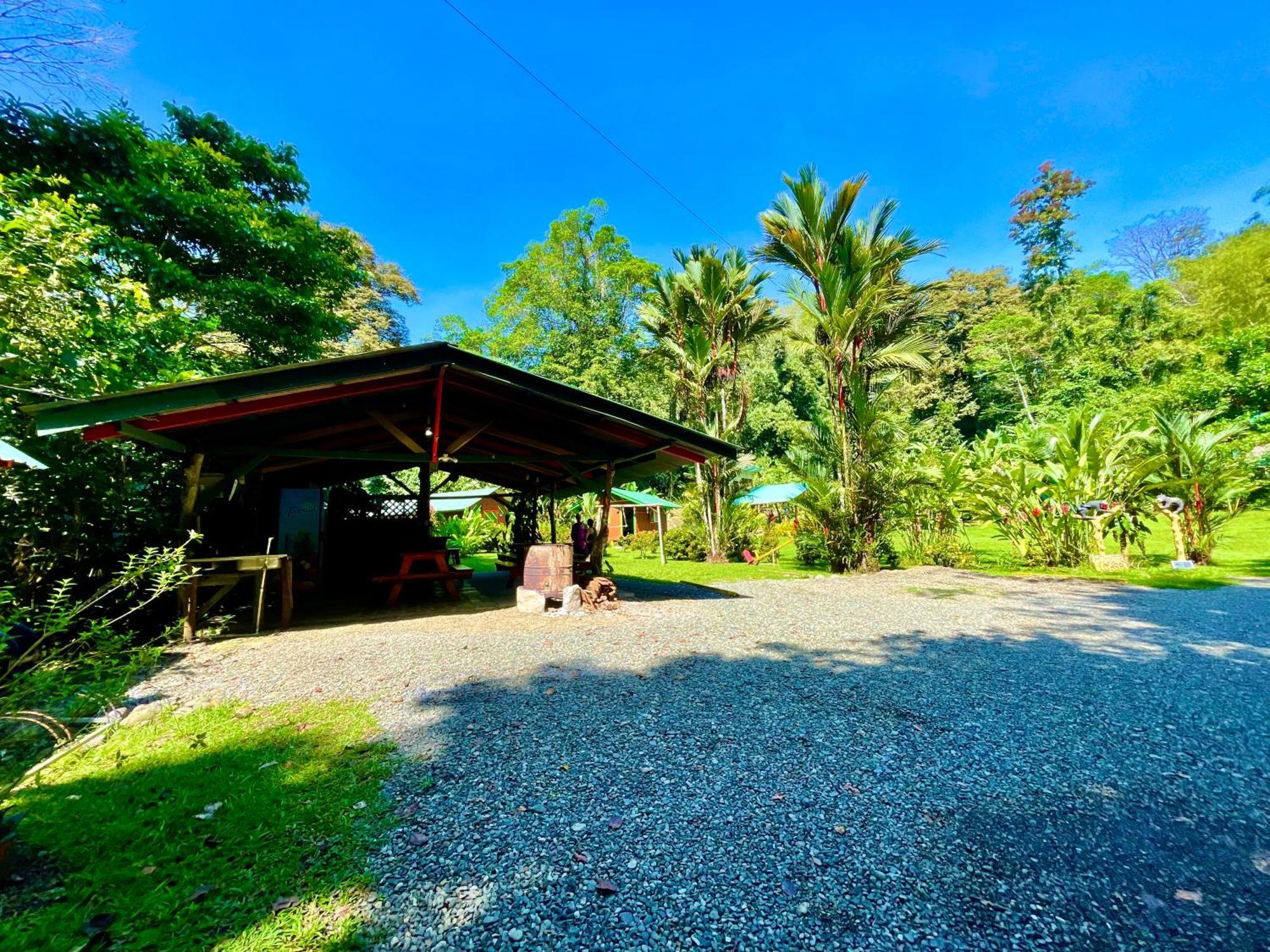 Alouatta Lodge And Canopy Cahuita Exterior photo