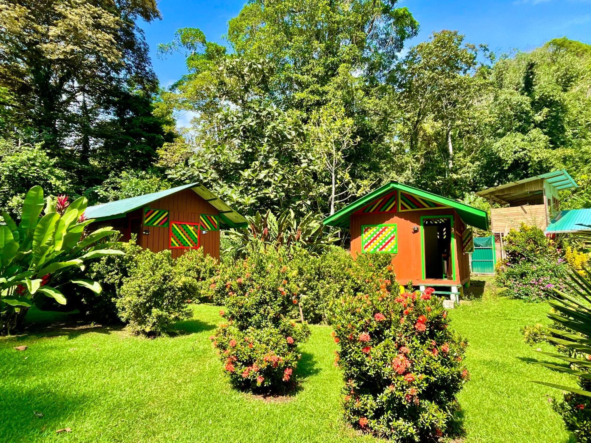 Alouatta Lodge And Canopy Cahuita Exterior photo