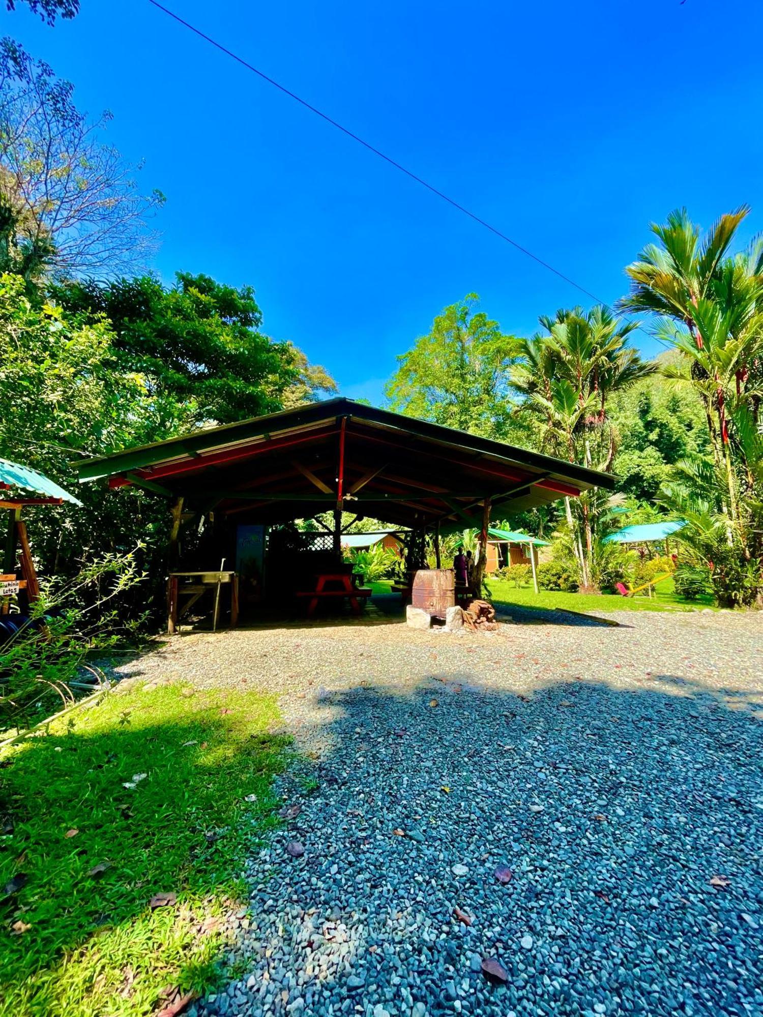 Alouatta Lodge And Canopy Cahuita Exterior photo