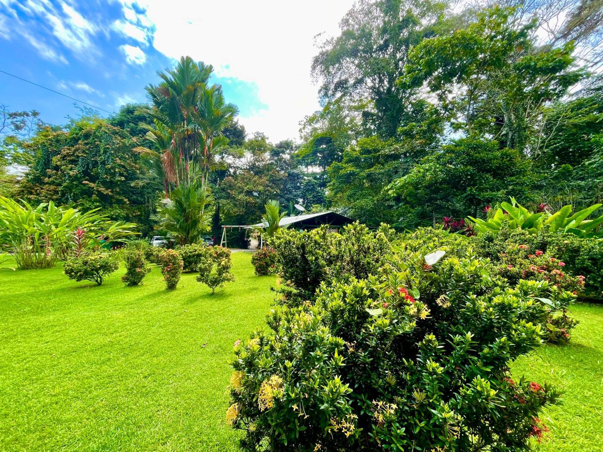 Alouatta Lodge And Canopy Cahuita Exterior photo