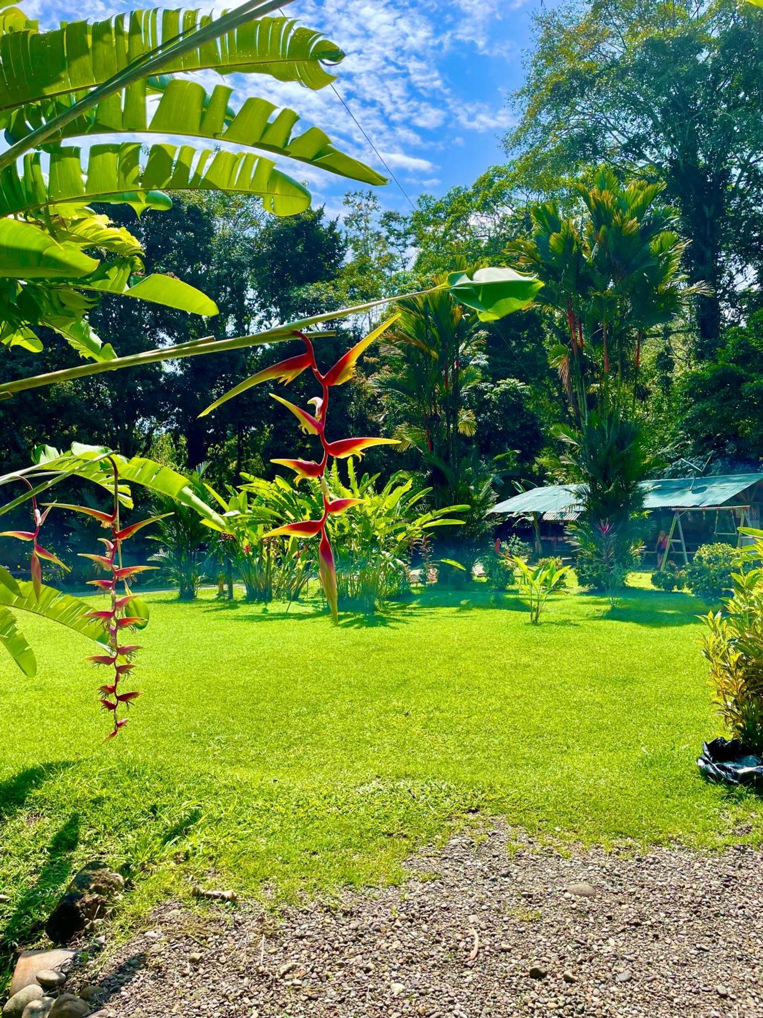 Alouatta Lodge And Canopy Cahuita Exterior photo