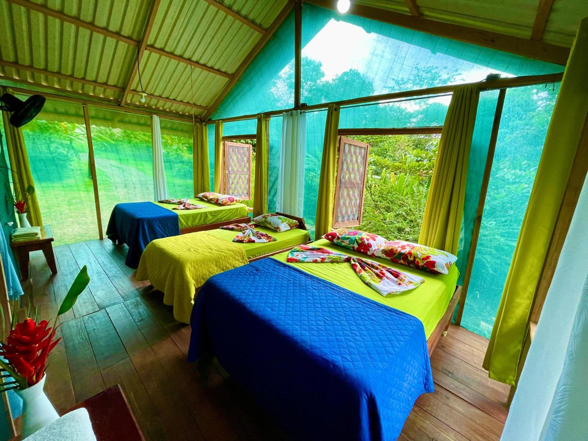 Alouatta Lodge And Canopy Cahuita Exterior photo