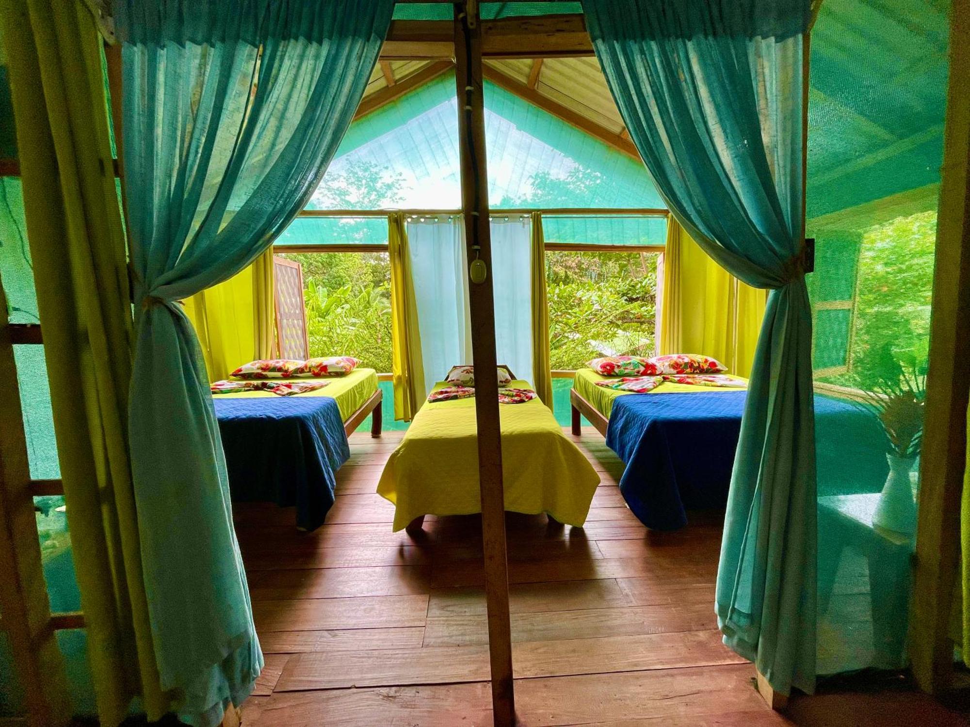 Alouatta Lodge And Canopy Cahuita Exterior photo