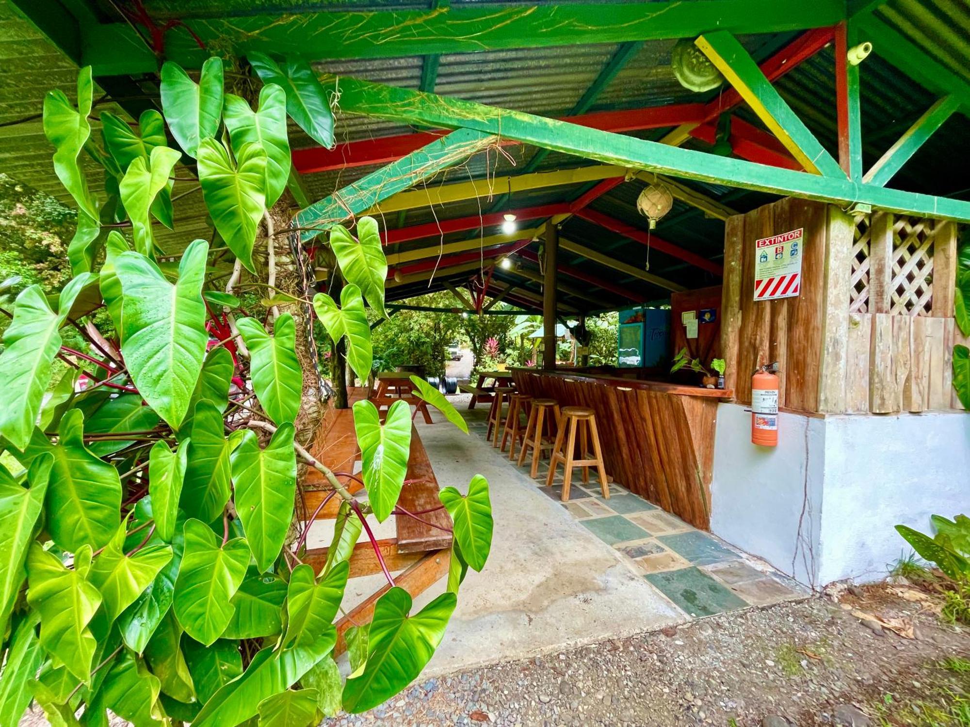 Alouatta Lodge And Canopy Cahuita Exterior photo