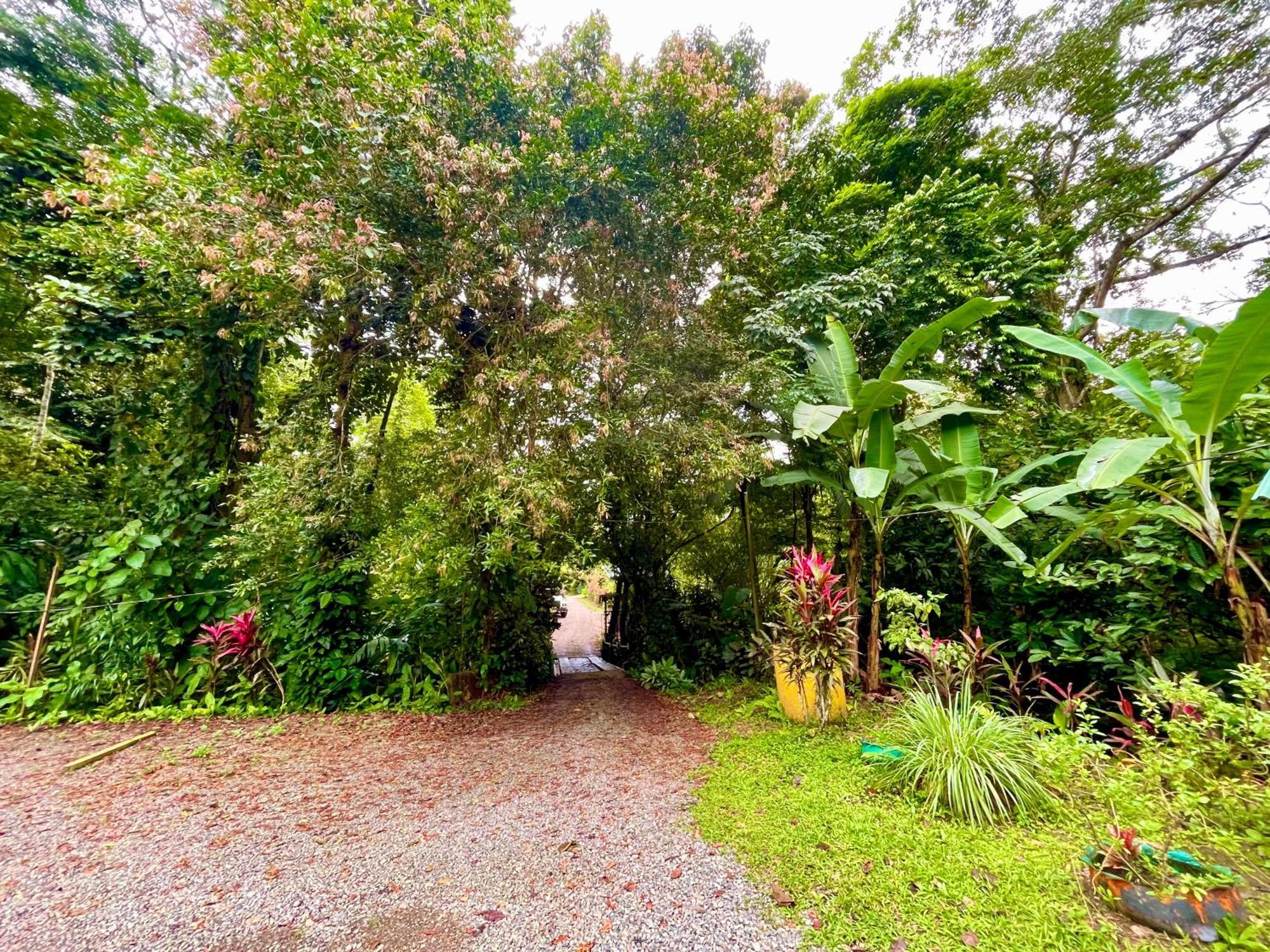 Alouatta Lodge And Canopy Cahuita Exterior photo