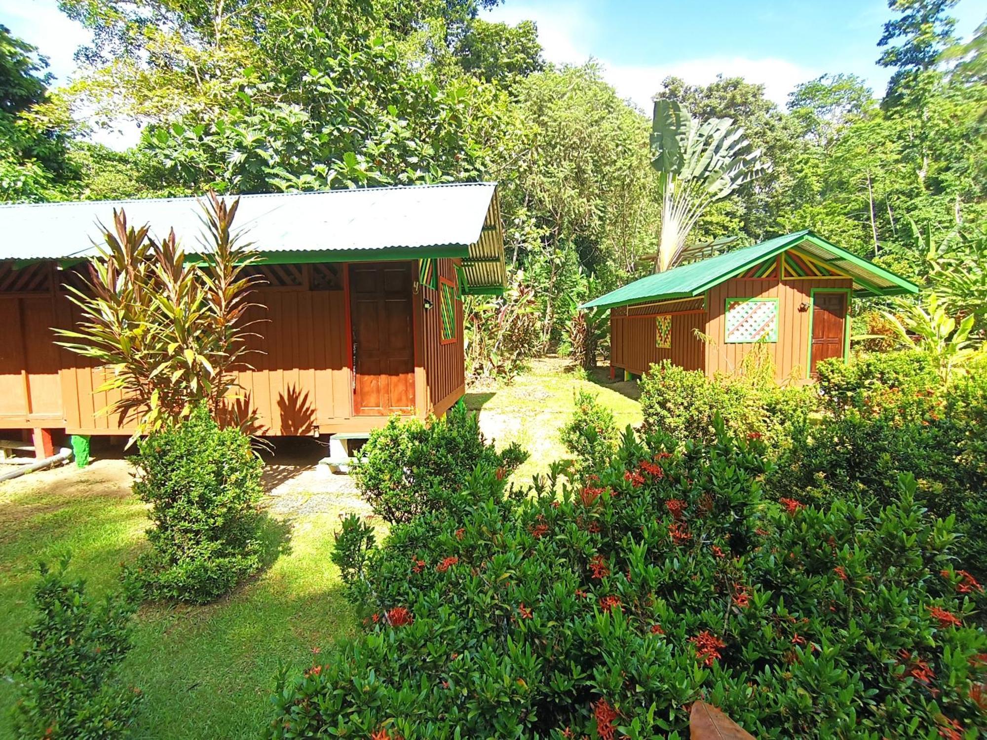Alouatta Lodge And Canopy Cahuita Exterior photo